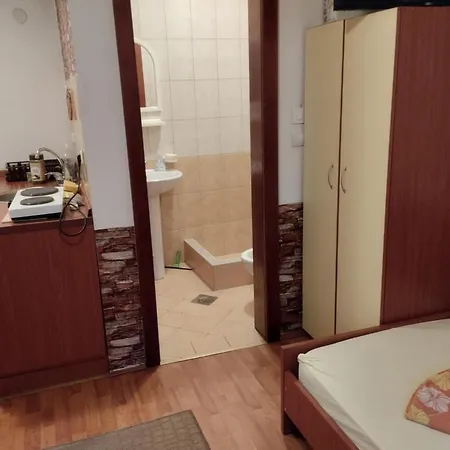 Apartman Apartment-studio Downtown Dudanovi *